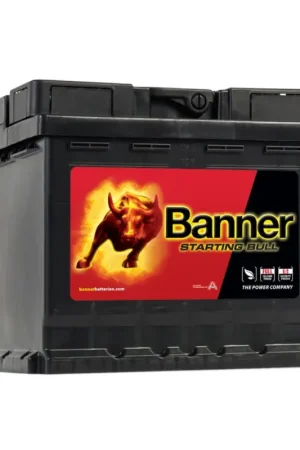 Batteria Banner 12V 50Ah Starting Bull con spunto 400A per Auto Camper e Barca N51120050500 Occasione