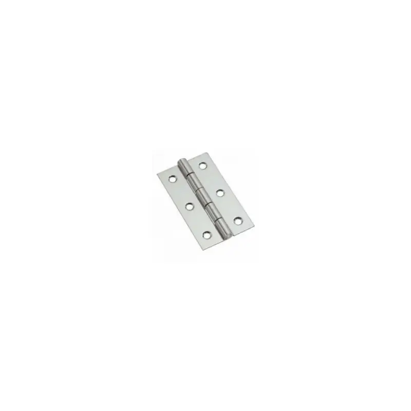 Cerniera in acciaio inox 50x30mm Spessore 1mm N60242240004 Offerta