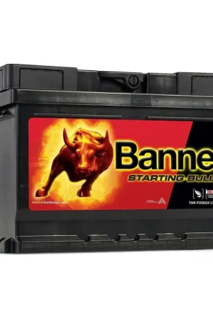 Batteria Banner 12V 72Ah Starting Bull con spunto 650A per Auto Camper e Barca N51120050505 Economico