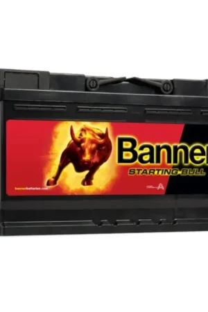 Reso Gratuito Batteria Banner 12V 95Ah Starting Bull con spunto 740A per Auto Camper e Barca N51120050510