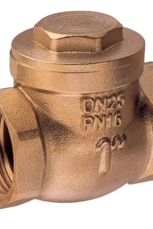 Valvola di non ritorno a CLAPET in bronzo Pagamento Sicuro