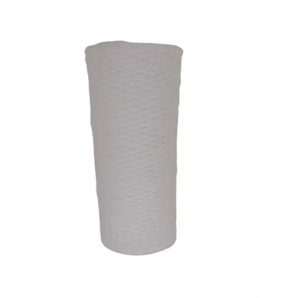 Saldi Filtro dissalatore senior 20 micron 10"