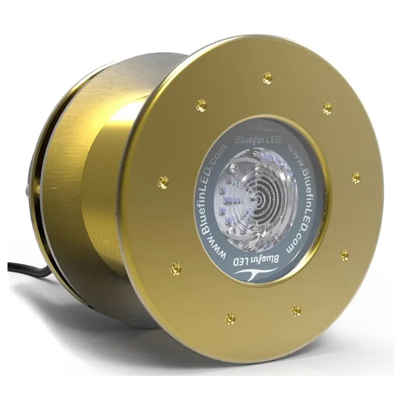 Ordina Subito Faro Bluefin Led Great White GW16 IFM - Bianco