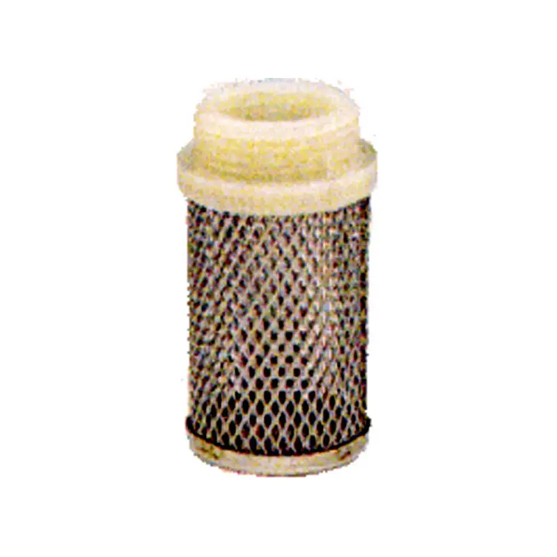 Filtro Inox per Valvola ritegno 2" Compra Online
