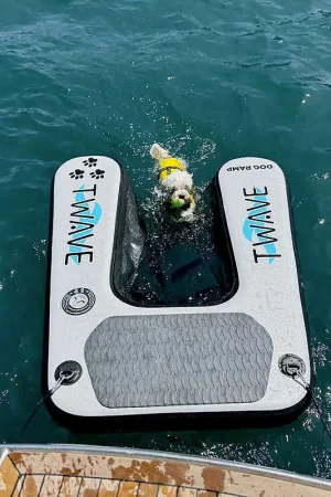 Spedito Oggi T-wave Rampa per Cani gonfiabile