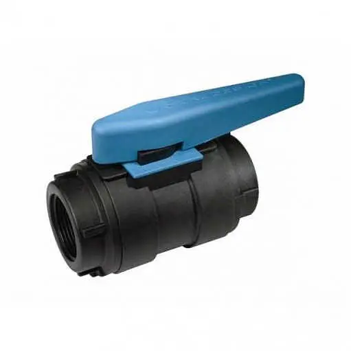 Valvola a sfera Trudesign in nylon FF 2" Offerta