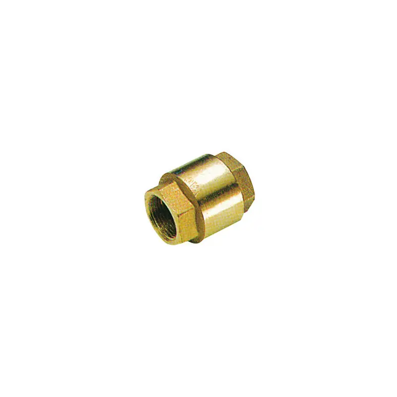 Valvola Ritegno Ottone FF 1" A Buon Prezzo