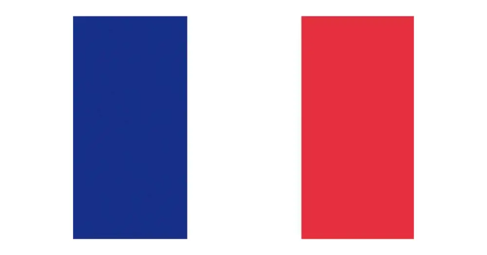 Solo Oggi Bandiera Francia