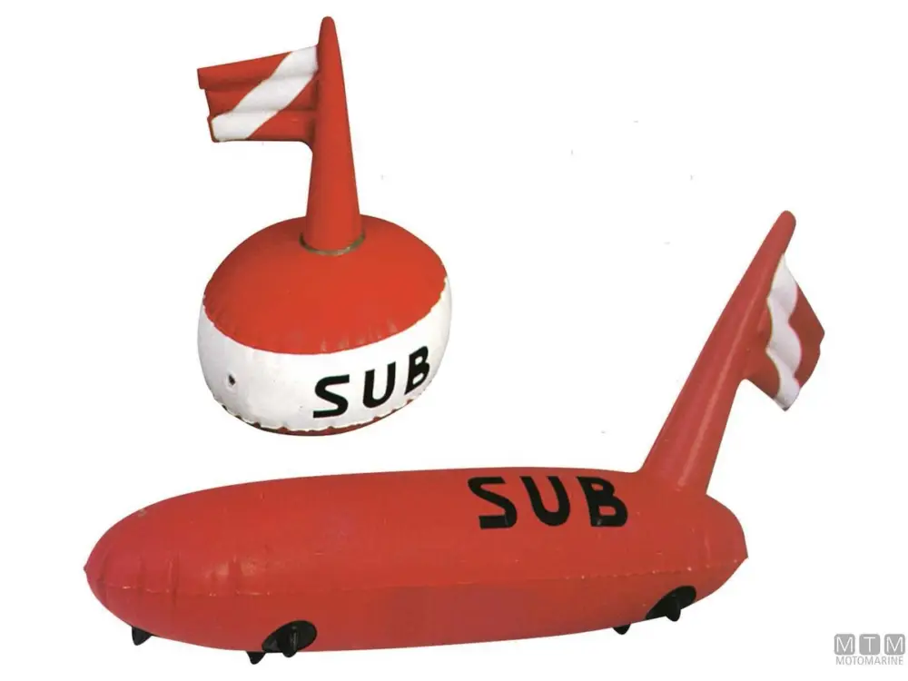 BOA SUB EXPORT D38CM Compra Adesso