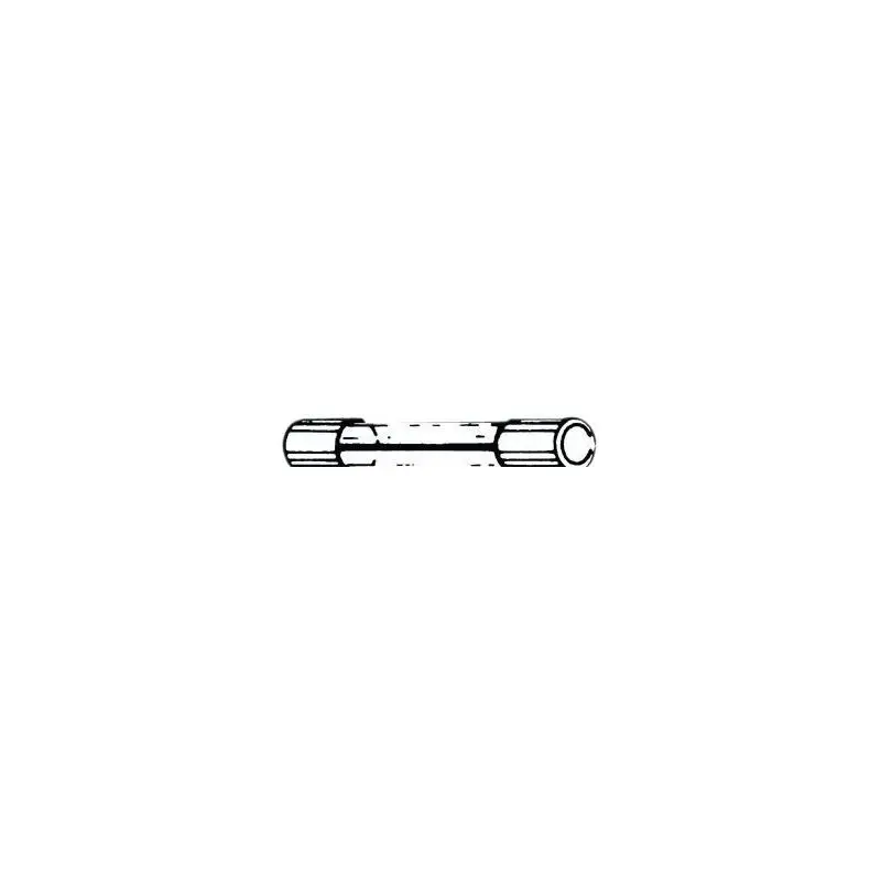 Fusibili in vetro da 20 A 6,3 x 32 mm ad azione rapida - Contatti in rame argentato - Max 250 V Popolare