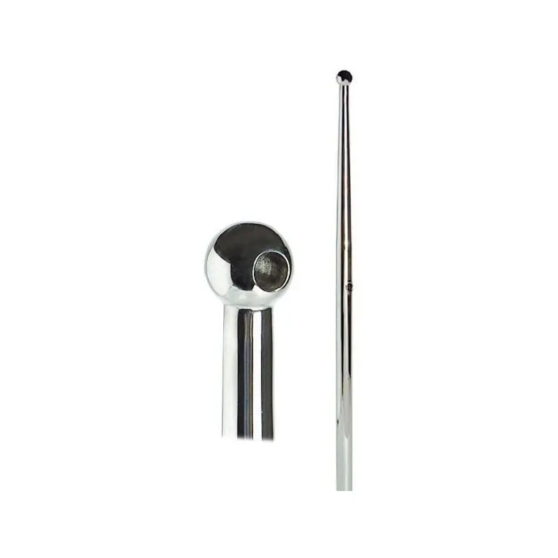 Acquista Ora Candeliere Inox 610 mm Lucidato a Specchio Ø 25 mm con Testina e Tubetto in Acciaio Inox AISI 316 per Barche e Nautica