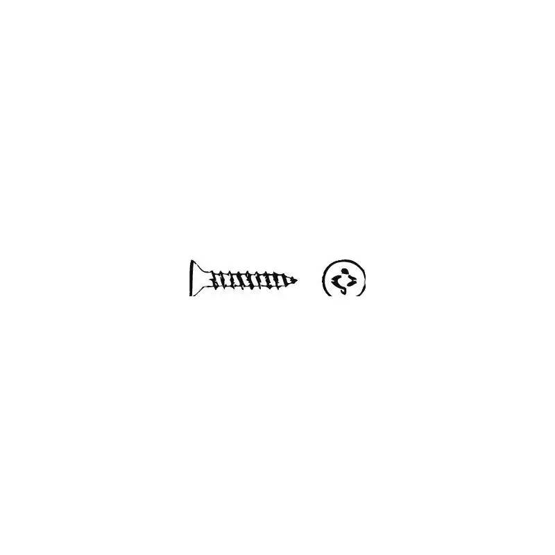 Quantità Limitata Viti in Acciaio Inox AISI 304 6x50 mm per Fissaggi Nautici - Osculati