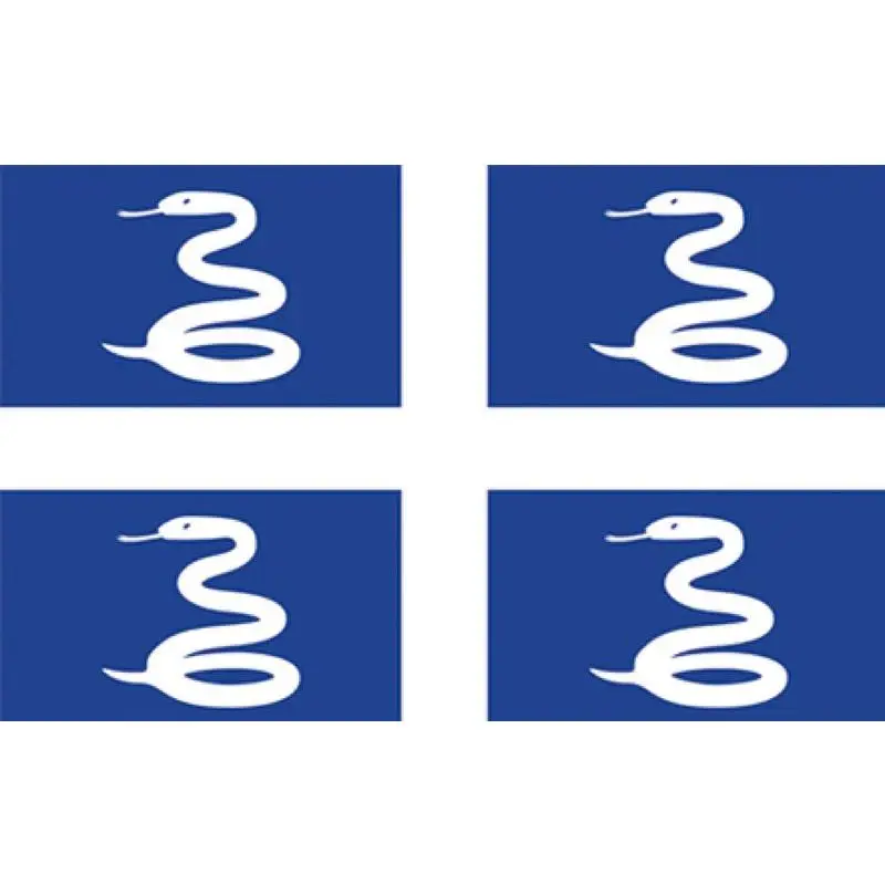 Bandiera Martinica 20x30 per Vela e Nautica - Accessorio Ideale per Barche Pagamento Sicuro