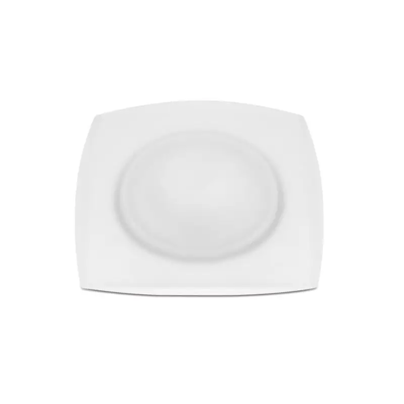 Prezzo Scontato Faro Antares QP a Vetro Satinato Power LED 3 - 4000 °K Bianco di Foresti e Suardi, con Corpo in Alluminio Anodizzato e Diffusore in Vetro Temperato, Regolatore Integrato e Parabola Direzionale.