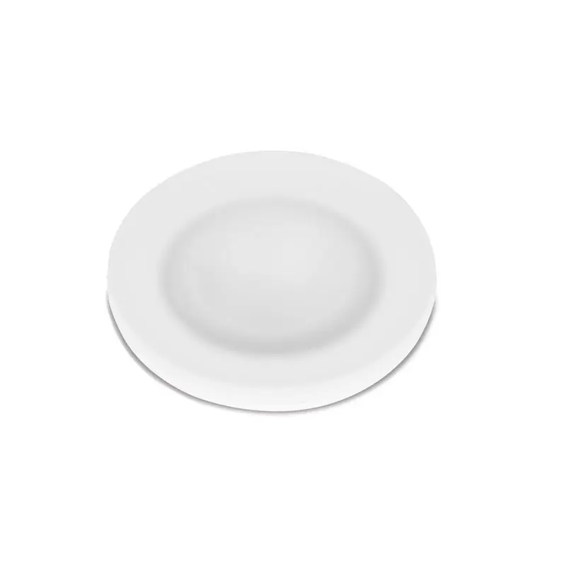 Faro Antares TPP con Vetro Satinato e Power LED 3 4000 °K Bianco - Illuminazione Nautica di Alta Qualità Foresti e Suardi, Corpo in Alluminio Anodizzato e Diffusore in Vetro Temperato Promozione