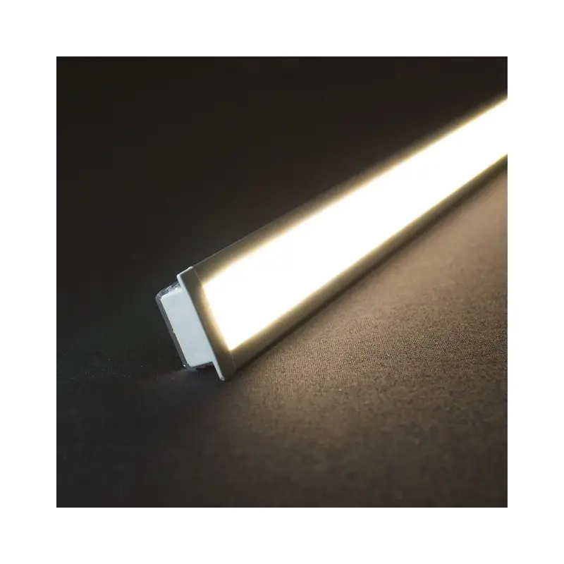 Compra Adesso Modulo LED in Alluminio Foresti e Suardi RIGHT LINE E LED L2 - 1000 mm - Bianco 4000 °K con Tappo Semplice/Interruttore - Gruppo di Rischio Fotobiologico EN 62471