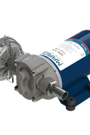 Offerta Lampo Pompa Ingranaggi UP6 24V - Pompa Autoadescante in Ottone Nichelato per Gasolio - Ideale per Trasferimento fino a 1,5 Metri