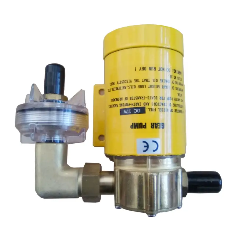 Pompa Elettrica Ingranaggi 12V in Bronzo per Travaso di Gasolio, Olio e Liquidi Non Infiammabili con Filtro Impurità Offerta Limitata