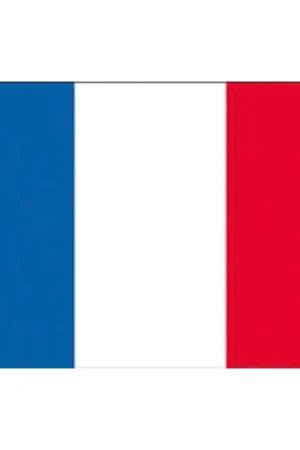 Bandiera Francia in Tessuto Stamina di Poliestere 100% - Adria Bandiere per Nautica e Vela Compra Oggi Stesso