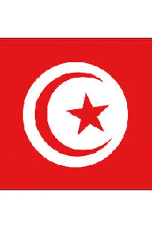 Bandiera Tunisia in Poliestere 100% - Alta Qualità Stamina per Vela e Nautica - Adria Bandiere Compra Online
