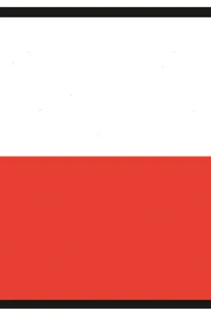 Bandiera polonia 50x75cm Occasione