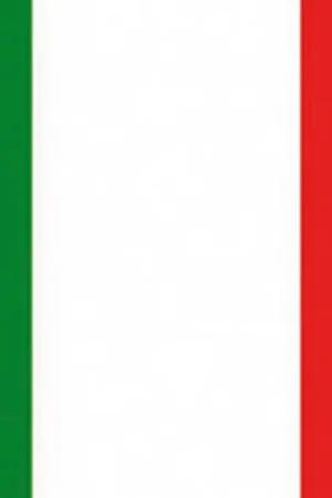 Promozione Esclusiva Bandiera italia cm.20x30