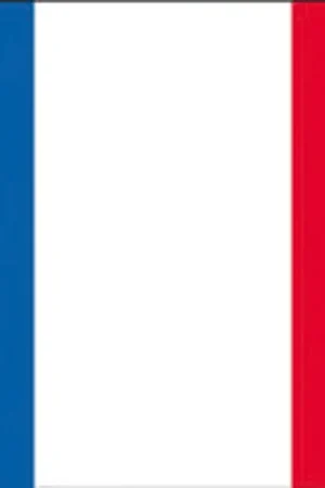 Bandiera francia cm.20x30 Offerta Speciale