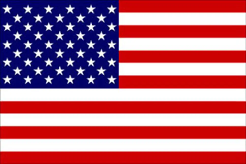 Direttamente Dal Produttore Bandiera usa cm.20x30