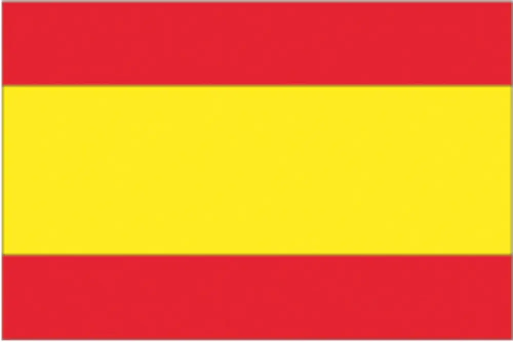 Occasione Imperdibile Bandiera spagna cm.20x30