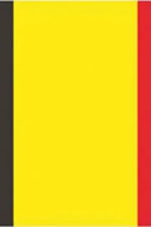 Bandiera belgio cm.70x100 Vendita Finale