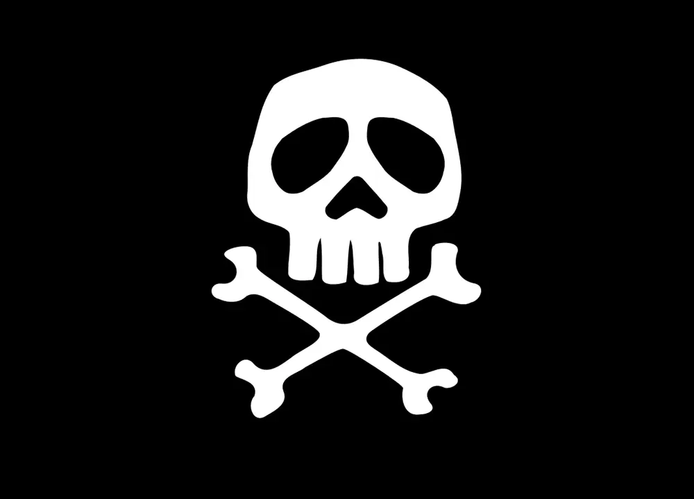 Bandiera pirata cm.20x30 Ultime Pezzi