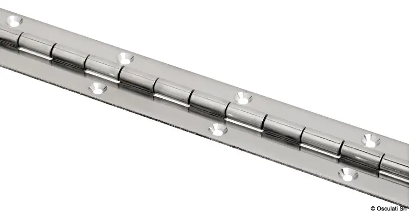 Di Tendenza Cerniera in Acciaio Inox Forata e Svasata 30 mm