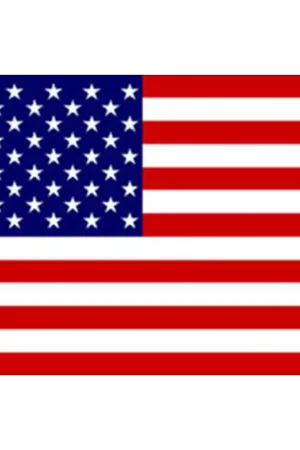 Acquista Ora Bandiera usa cm.30x45