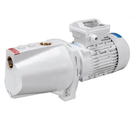 Pompa Monoblocco ECOJET 2BB 230V Gianneschi Pump Compra Adesso