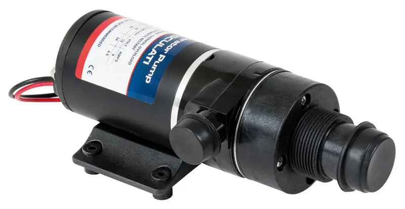 Maceratore autodescante 24 V Consegna Rapida