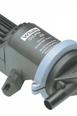 Pompa Whale Gulper 220 24 V Non Perdere