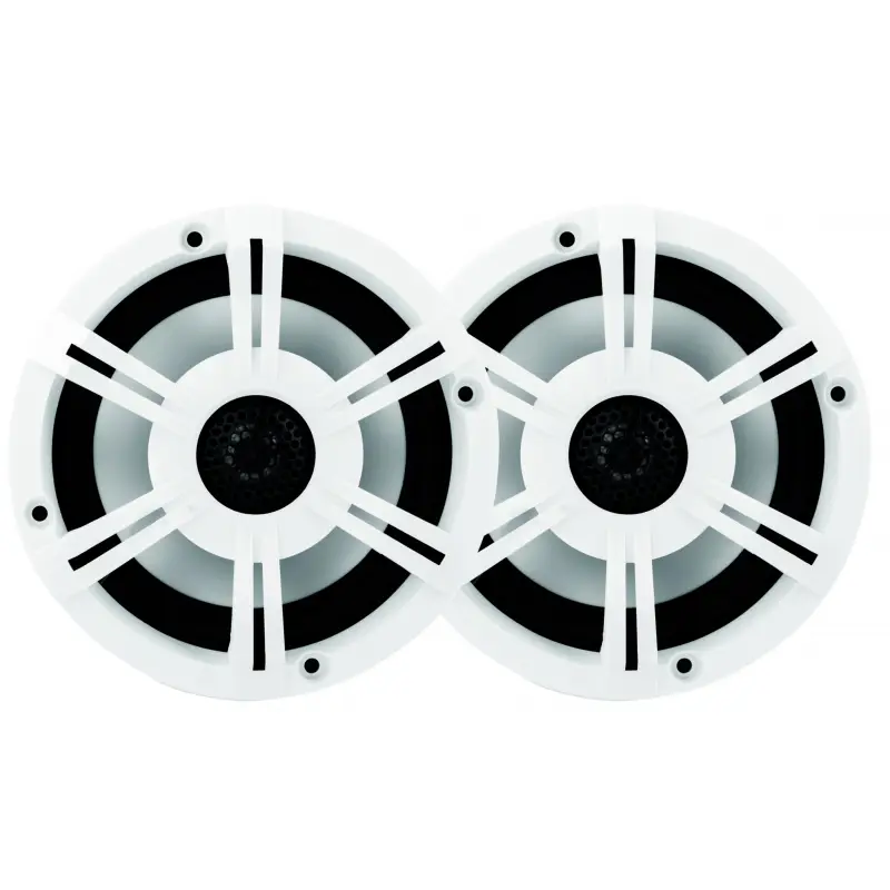Ordina Subito Casse bluetooth bianche