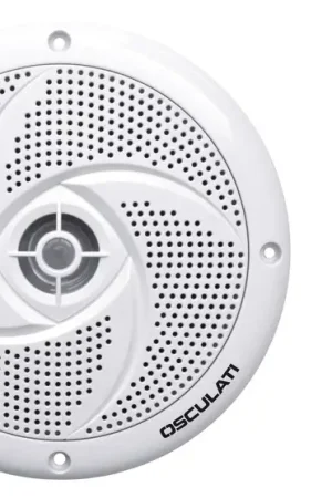 Consegna Rapida Casse stereo ultra piatte doppio cono bianche 5,25