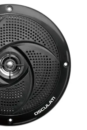 Casse stereo ultra piatte doppio cono nere 5,25" Super Prezzo