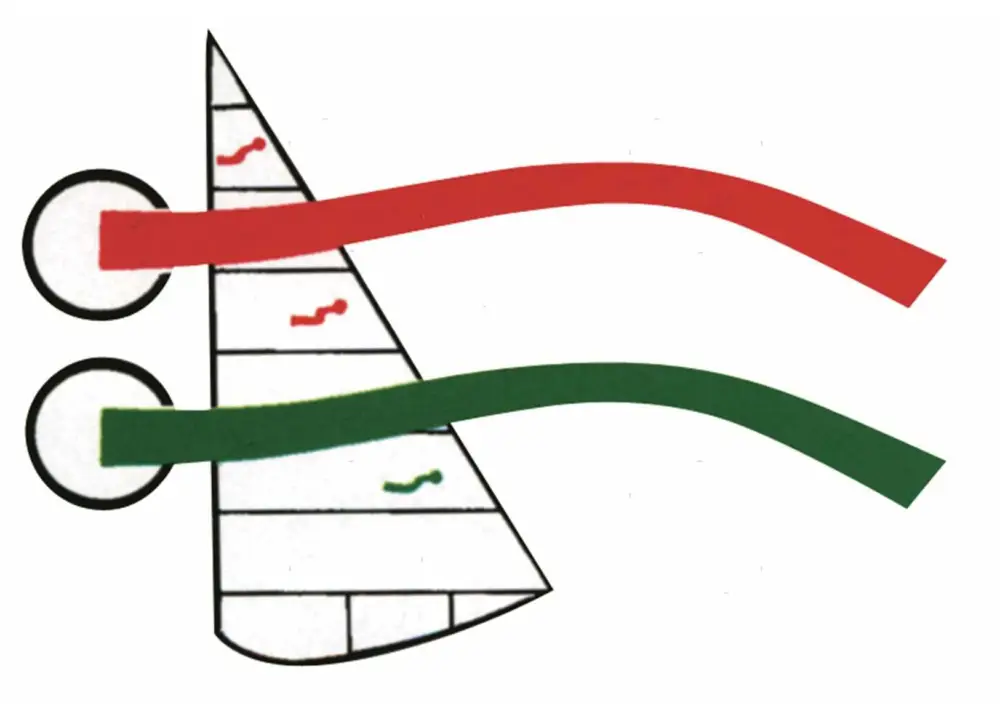 Acquista Ora Indicatori sail telltales
