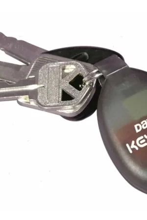 Offerta Speciale Portachiavi davis autogonfiabile