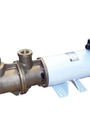 Di Tendenza Elettropompa CEM Sbr autoadescante monovite in bronzo