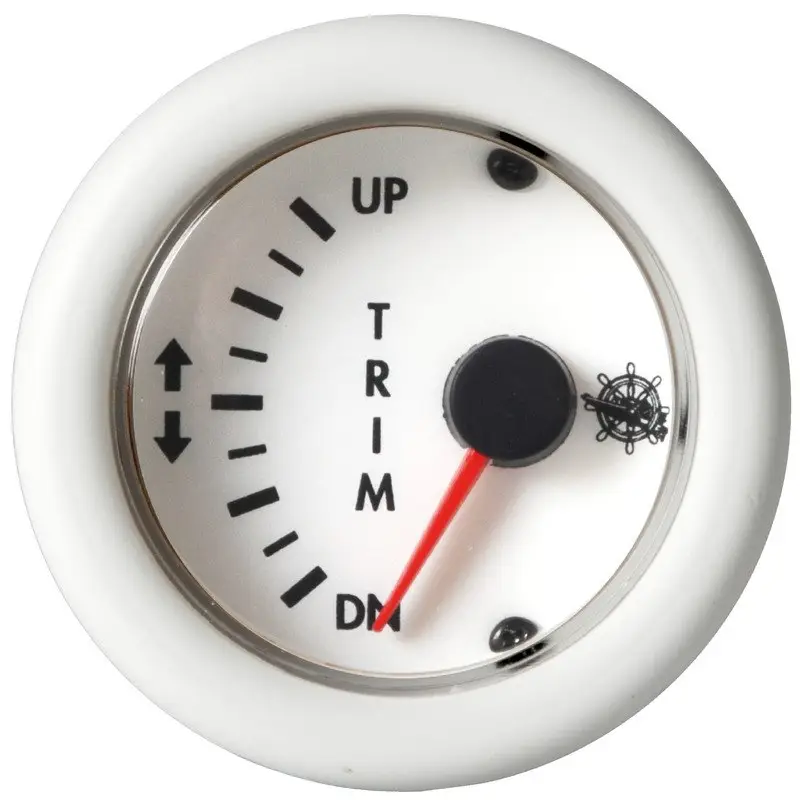 Power Trim Guardian 12 V Economico