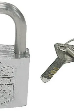 Lucchetto acciaio inox 25x19 mm Spedito Oggi