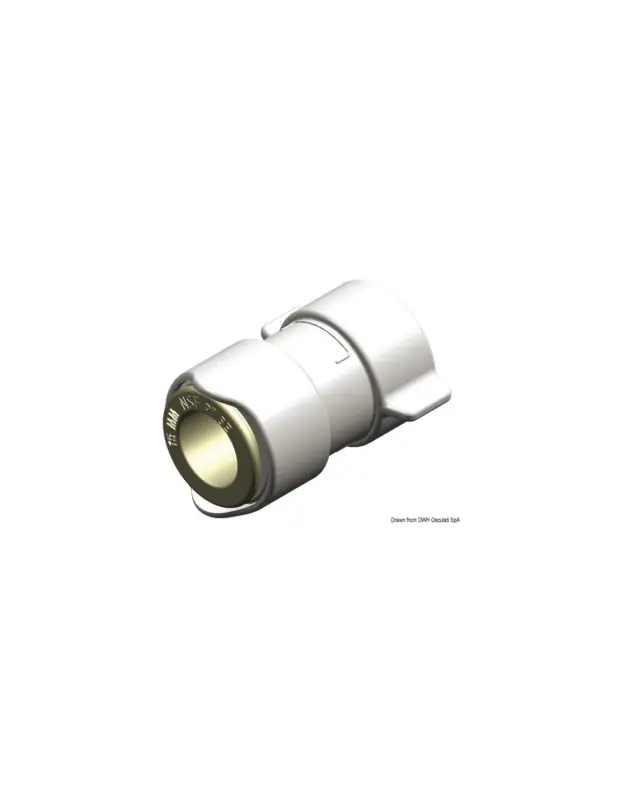 Offerta Limitata Whale adattatore 1/2" BSP femmina
