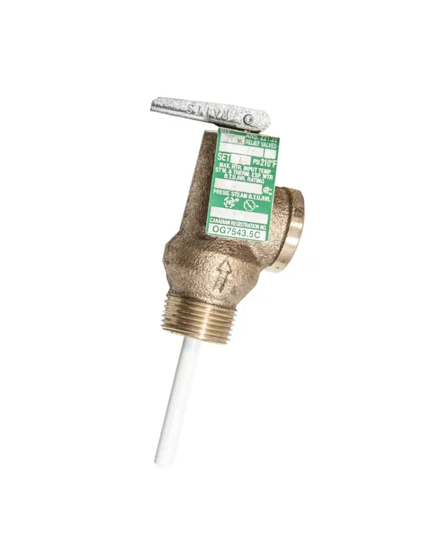 Raritan valvola di decompressione 75 PSI, ricambio boiler Promozione