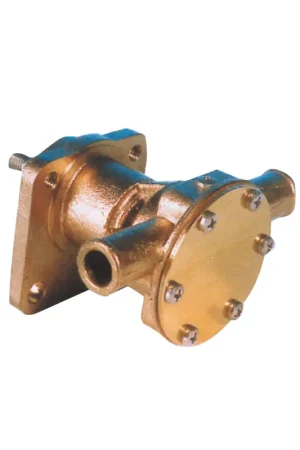 Vendita Finale Ancor PFF12, pompa autoadescante bronzo, portagomma 20 mm, 9-18 L/min