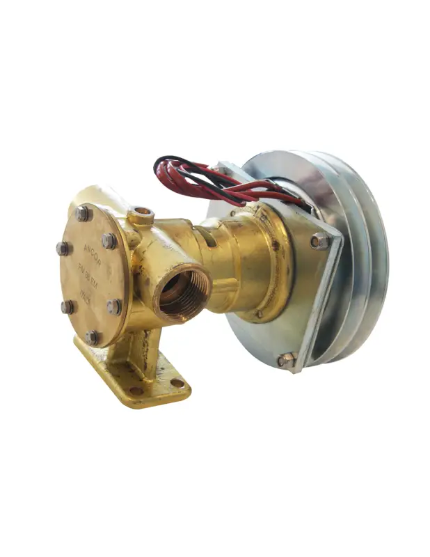 Must-Have Ancor PM36 EM, pompa girante frizione elettromagnetica, bocche 1", 28-96