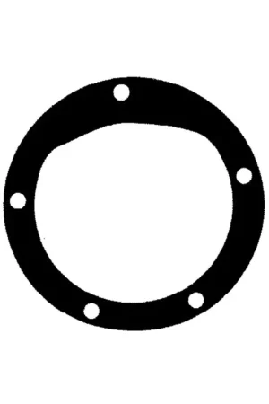 Ancor guarnizione carta pompe PM40 e PM40F - ricambio 1600040-1600240 Solo Oggi