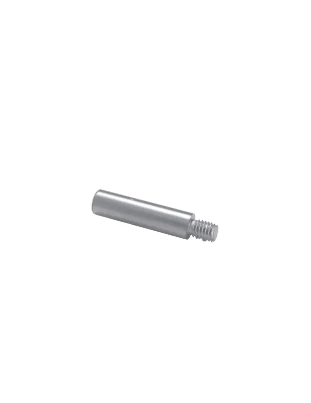 Sconto Enrico Polipodio anodo barotto zinco BMW per collettore, rif. or